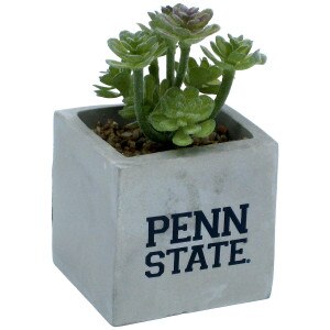 faux potted succulent with Penn State on planter